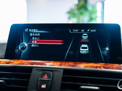 2016 BMW Alpina D3 — фото 16