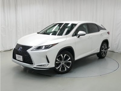 2022 Lexus RX photo 1