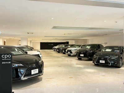 2022 Lexus RX thumbnail 26