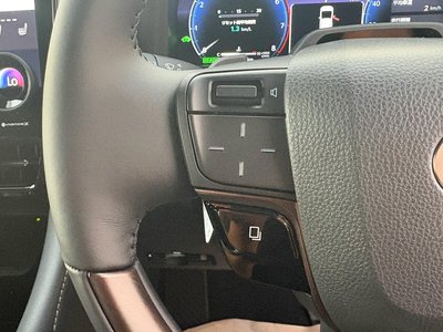 2026 Toyota ALPHARD 缩略图 22