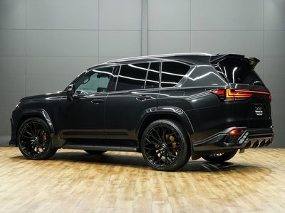 2024 Lexus LX photo 16