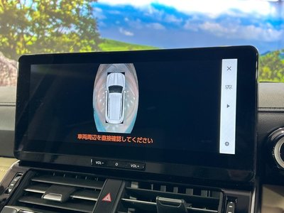 2025 Toyota LAND CRUISER 300 照片 43