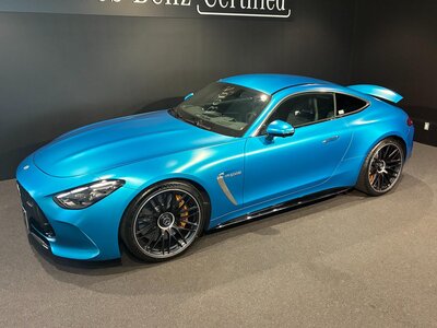 2025 Mercedes-BENZ GT AMG photo 14