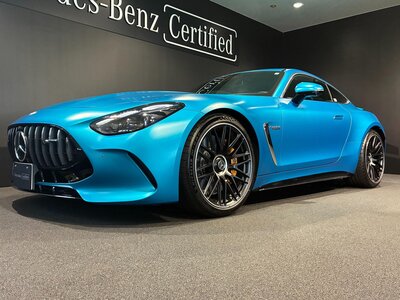 2025 Mercedes-BENZ GT AMG photo 16