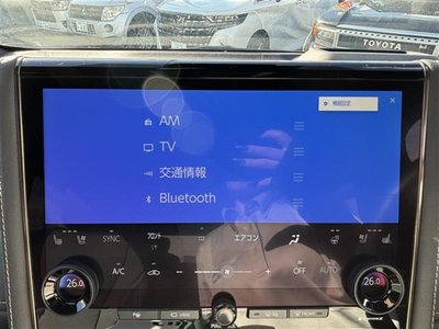 2025 Toyota ALPHARD 照片 11
