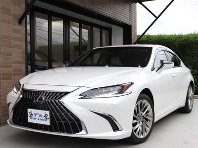 2021 Lexus ES — миниатюра 10