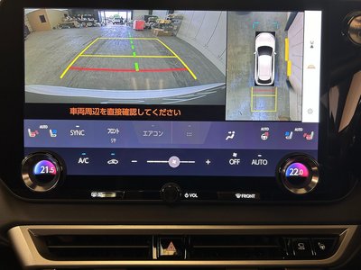 2024 Lexus RX thumbnail 33