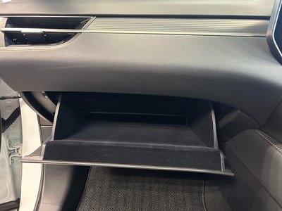 2024 Lexus RX thumbnail 48