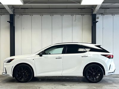 2024 Lexus RX photo 8