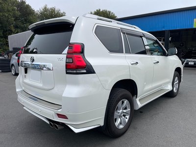 2021 Toyota LAND CRUISER PRADO — фото 8