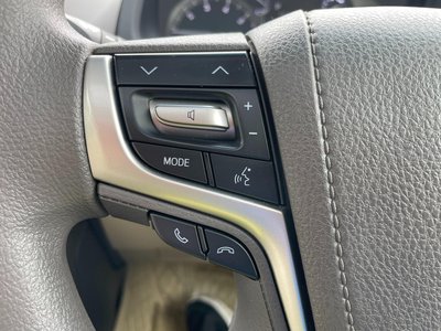 2021 Toyota LAND CRUISER PRADO — фото 15