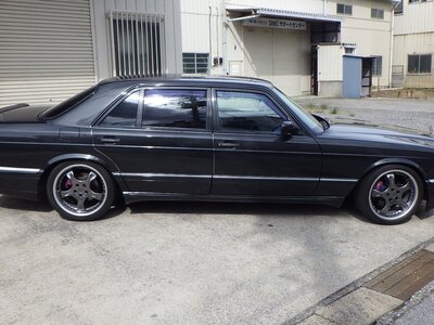 1990 Mercedes-BENZ S-CLASS AMG 照片 19