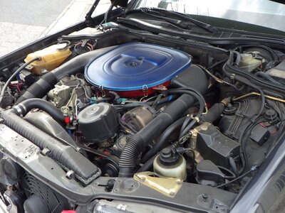 1990 Mercedes-BENZ S-CLASS AMG 照片 86