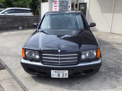 1990 Mercedes-BENZ S-CLASS AMG 照片 1