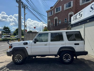 2024 Toyota LAND CRUISER 70 thumbnail 18