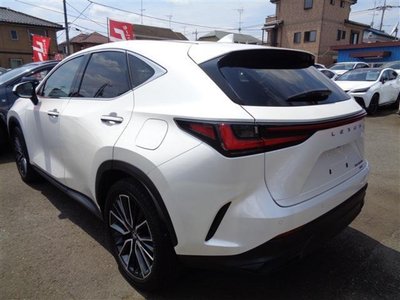 2023 Lexus NX — миниатюра 6