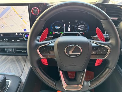 2024 Lexus LM photo 16