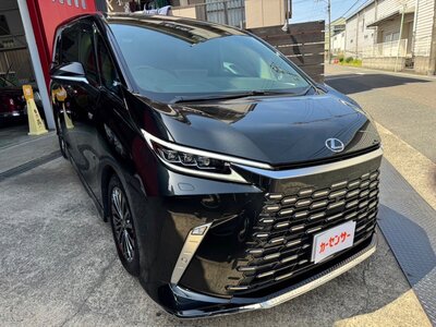2024 Lexus LM photo 8