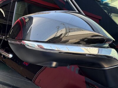 2024 Lexus LM photo 14