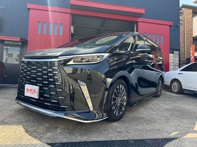 2024 Lexus LM photo 10
