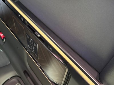 2024 Lexus LM photo 35