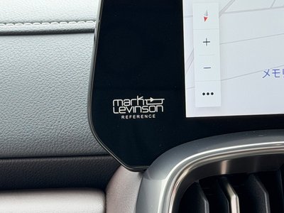 2024 Lexus LX thumbnail 19