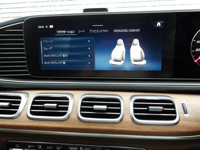 2025 Mercedes-BENZ GLS thumbnail 54