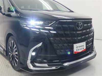2024 Toyota ALPHARD 照片 18