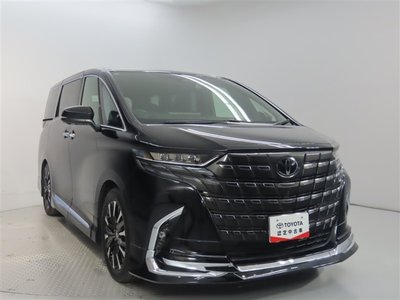 2024 Toyota ALPHARD 照片 10