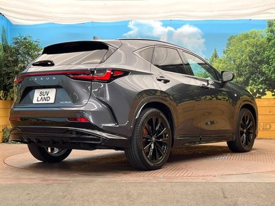 2023 Lexus NX 缩略图 17