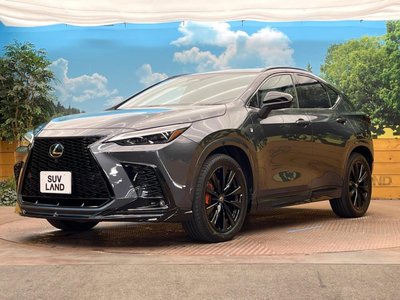2023 Lexus NX 缩略图 33