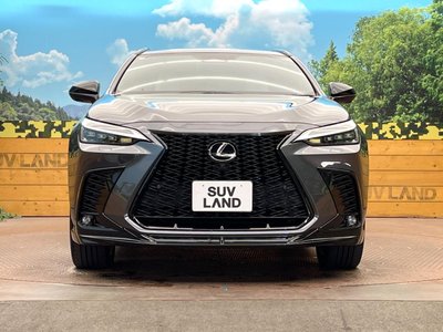 2023 Lexus NX 缩略图 14