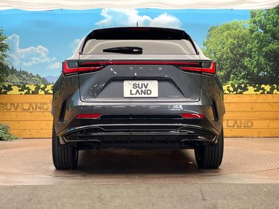 2023 Lexus NX 缩略图 15