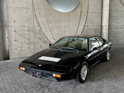 1975 Ferrari DINO photo 6