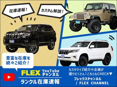 صورة 69 لـ 1996 Toyota LAND CRUISER 80