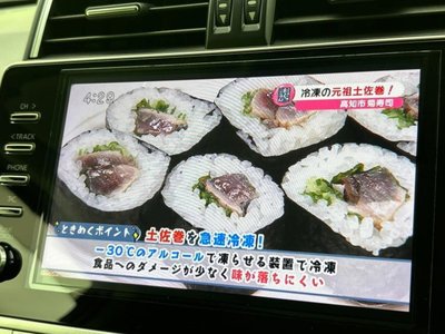 2021 Toyota LAND CRUISER PRADO 照片 12
