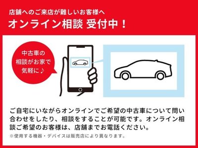 2024 Toyota LAND CRUISER 250 photo 28