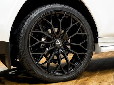 2023 Lexus LX 照片 63