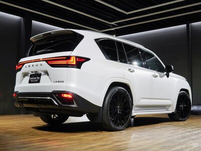 2023 Lexus LX 照片 25