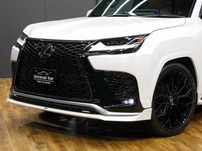 2023 Lexus LX 照片 40