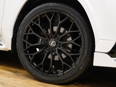 2023 Lexus LX 照片 50