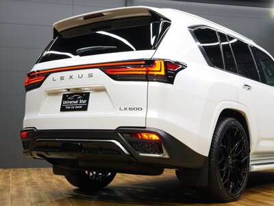 2023 Lexus LX 照片 59
