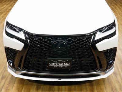 2023 Lexus LX 照片 29