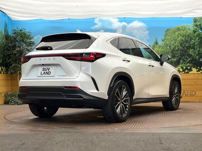 صورة مصغرة 17 لـ 2023 Lexus NX