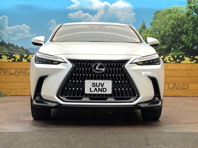 صورة مصغرة 14 لـ 2023 Lexus NX