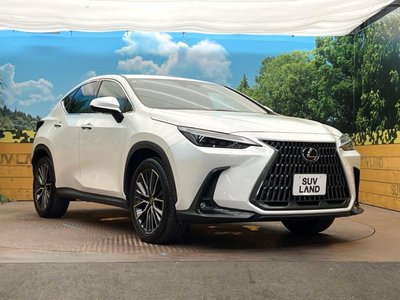 صورة مصغرة 16 لـ 2023 Lexus NX
