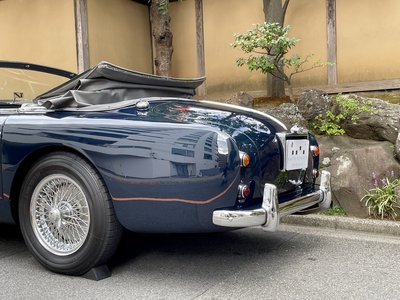 1955 Aston Martin DB2/4 MK1 缩略图 29