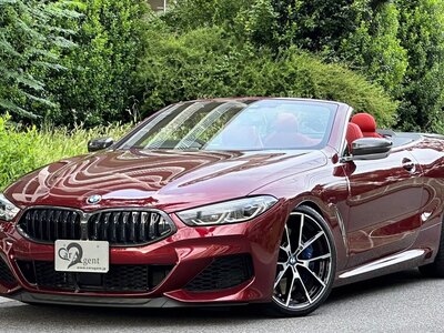 2019 BMW 8 SERIES CABRIOLET photo 1