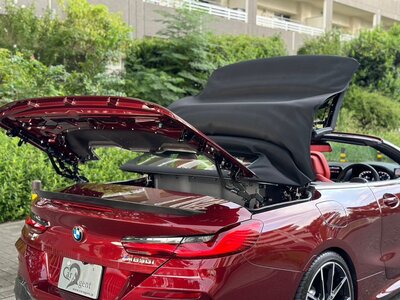 2019 BMW 8 SERIES CABRIOLET photo 21