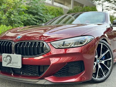 2019 BMW 8 SERIES CABRIOLET photo 35